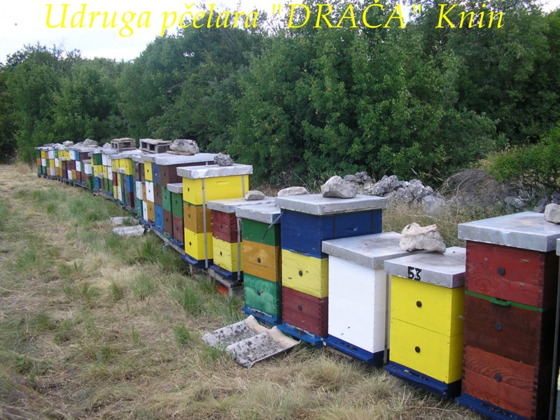 UP_Draca_Knin (13)